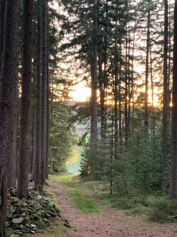 Tarahaus Διαμέρισμα Sankt Georgen im Schwarzwald Εξωτερικό φωτογραφία