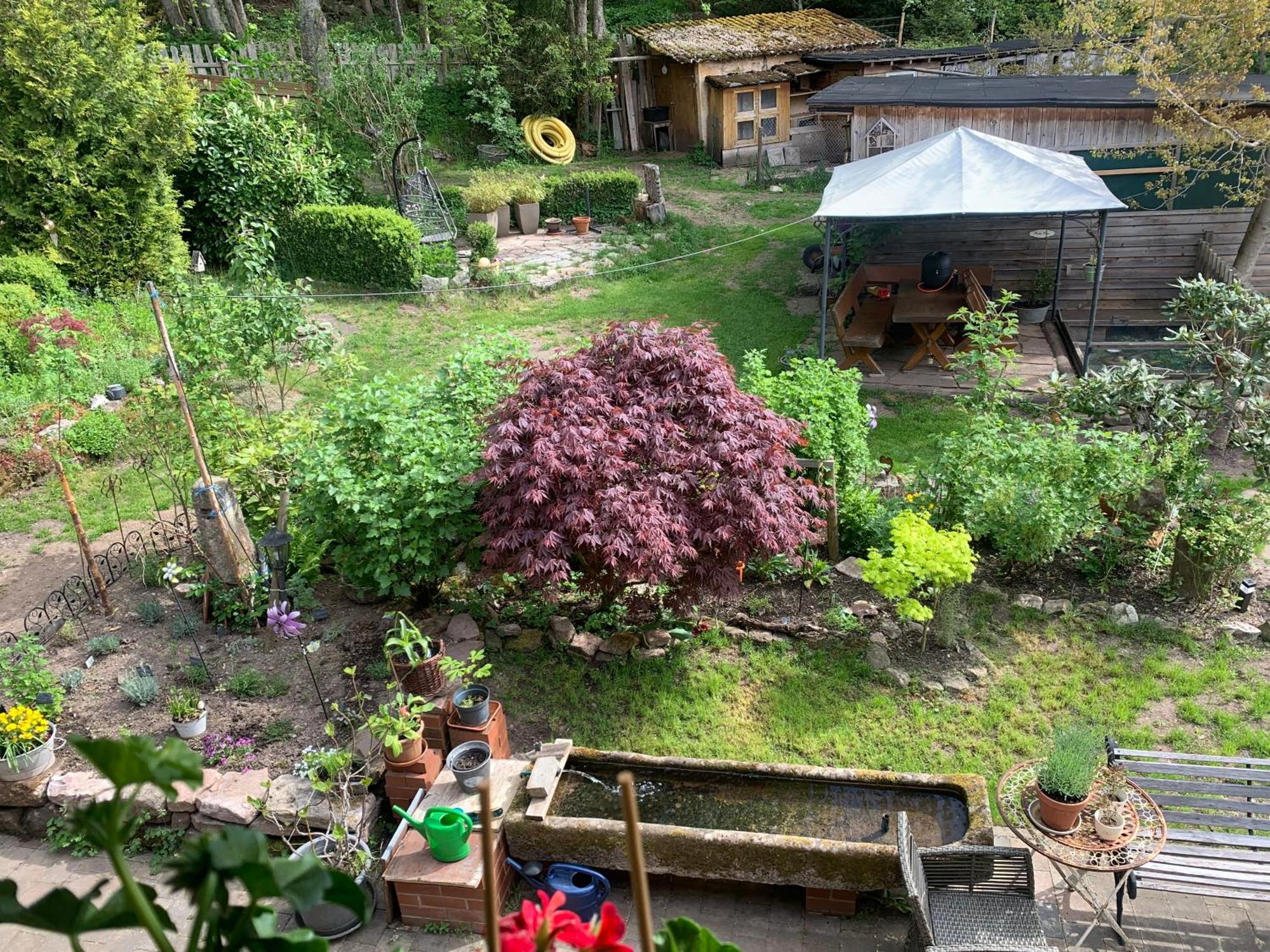 Tarahaus Διαμέρισμα Sankt Georgen im Schwarzwald Εξωτερικό φωτογραφία